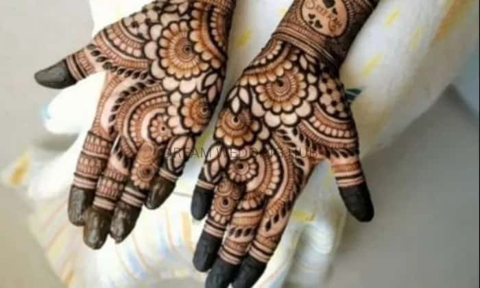 Rajasthan mehandi art