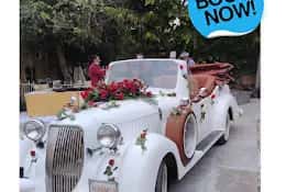 Classic Rovers Travel