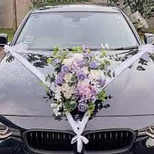 Samarth Car 