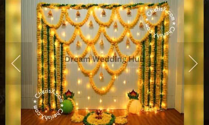 Arora Balloon Decorations