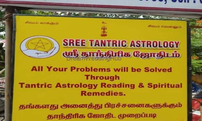 Sree Tantric Astrology
