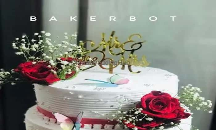 Baker Bot Home Made Cakes