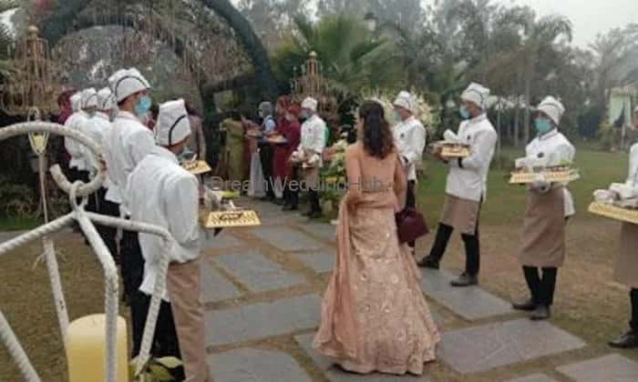 Harmony Wedding PlannerBest Wedding Planner