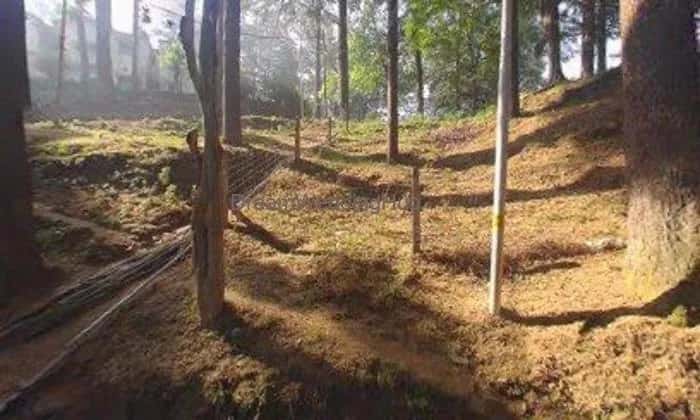 Mamta makeover cosmetics and beauty parlour