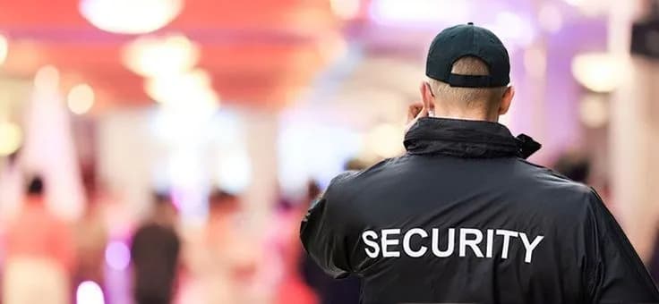 Benefits of Hiring Security for Large Wedding Events