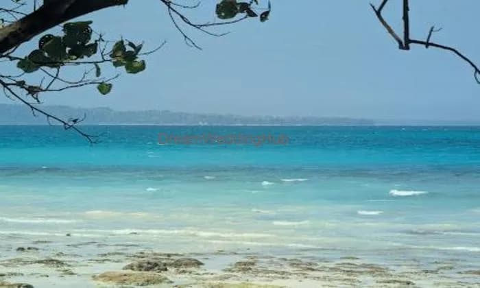 Andaman Sea Hawk Tours and Travels