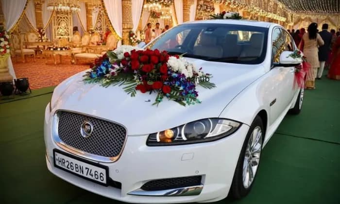 𝐀𝐊 𝐋𝐔𝐗𝐔𝐑𝐘 𝐂𝐀𝐁𝐒