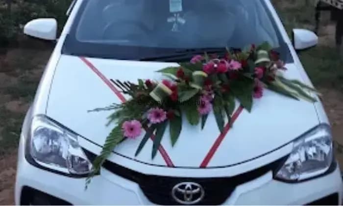 Ranthambore Car Rental