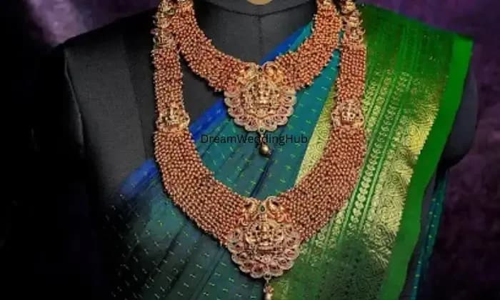 shoppingpandasrental