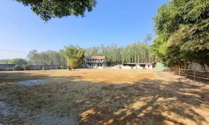 Trippr Chikkamagaluru