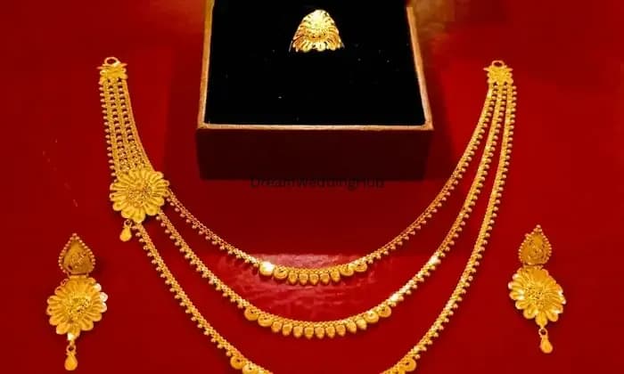 Vasu Bhai Chain Wala