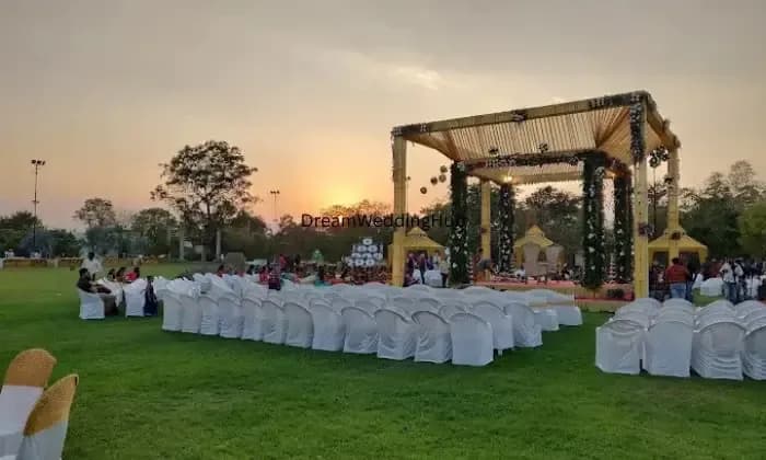 Celebration Party Plot