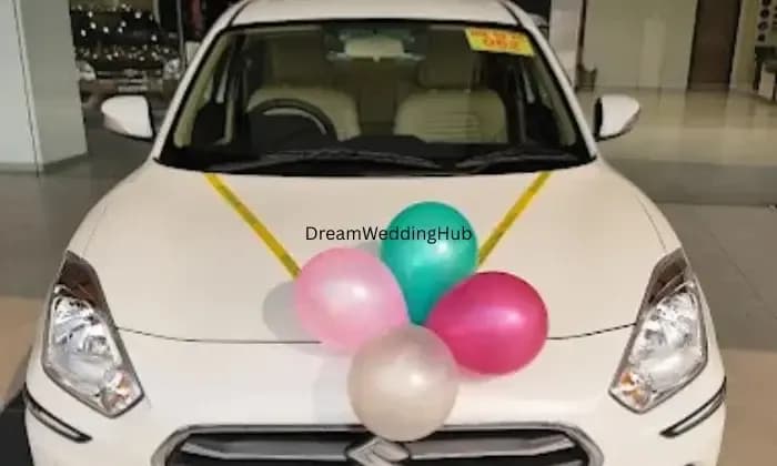 Shayan tour  travels