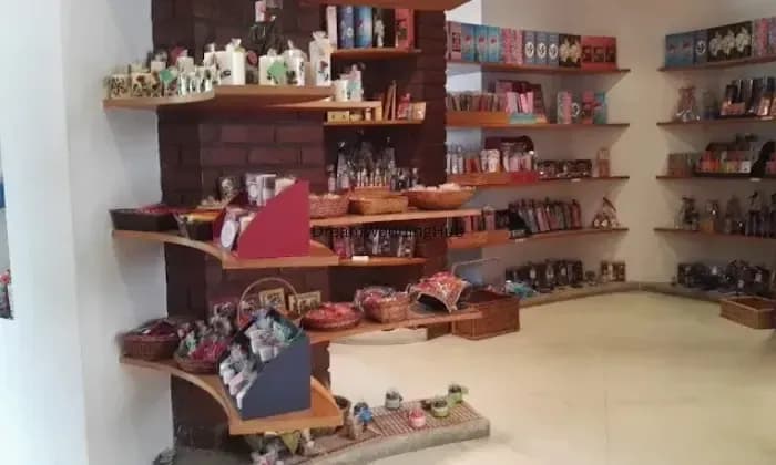 French vanilla Auroshikha