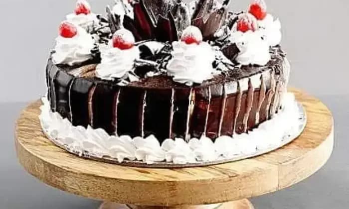 Ever Fresh Bakery khandwa
