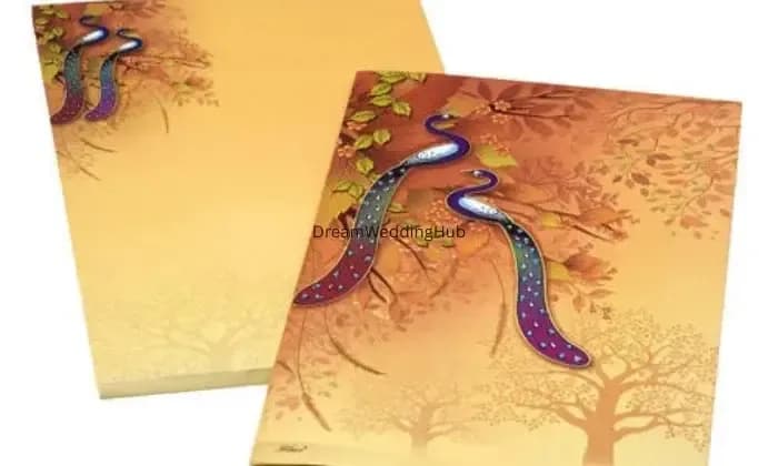 Shekhawati Marketing Co