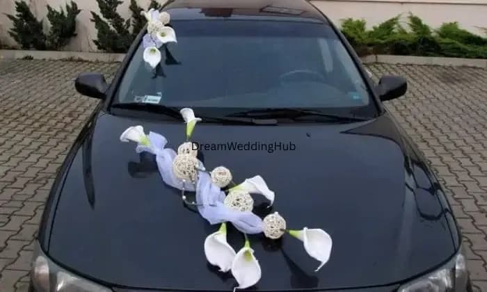 Vailankanni Tours and Travels