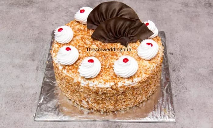 Bento Cakery Saharsa