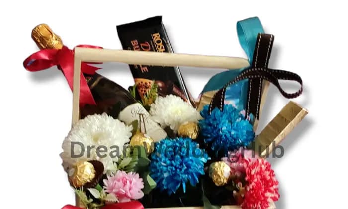 Opera Darte collections