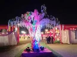 Jai Bajrang Light Decoration Services