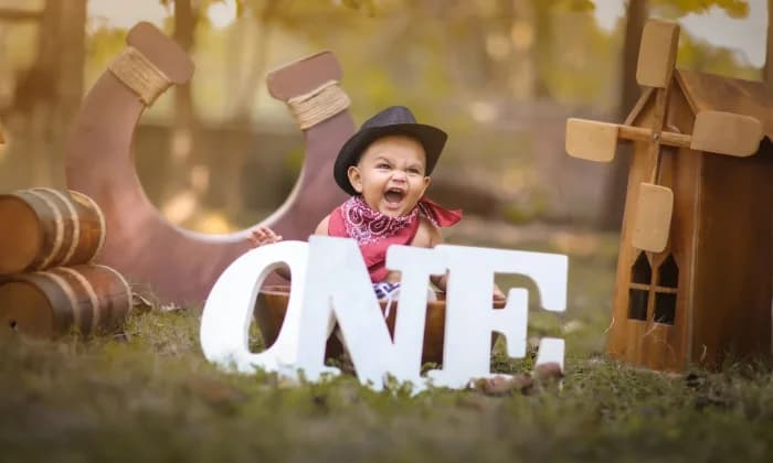 Little bird photography