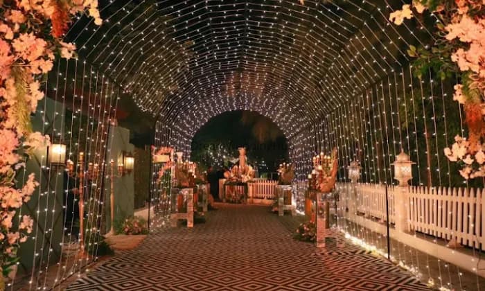 THE BLISS Events  Wedding Planner