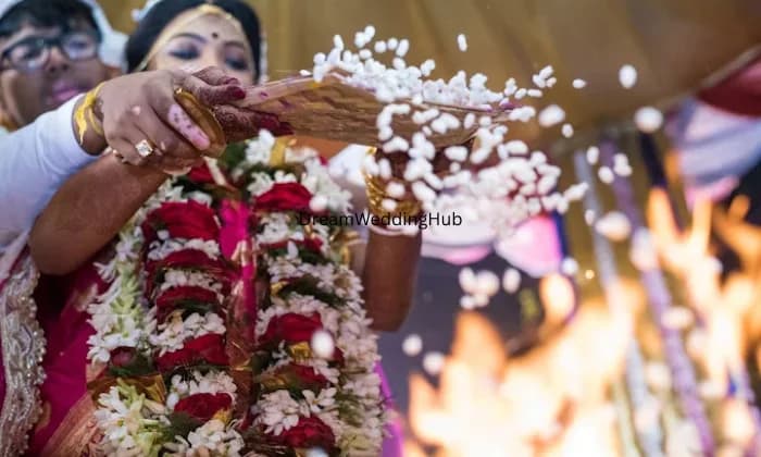 Paper Planes Photography