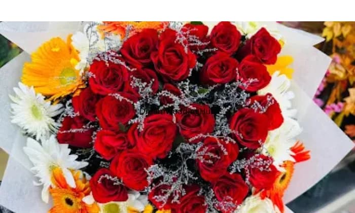 Pink City  Handicrafts