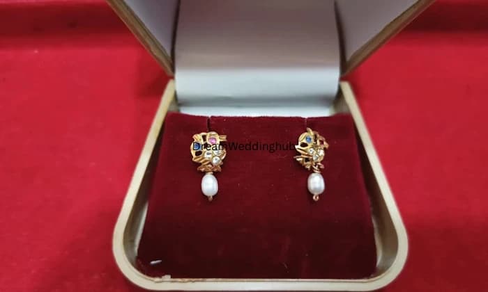 Sri rama Jewellers MS Ram Gopala Chary