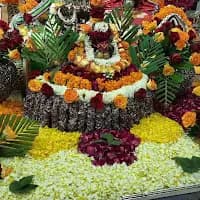 Pandit Naveen Dadhich