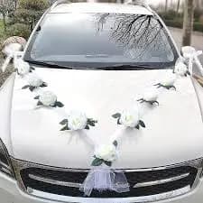 Shreenath Luxury Car