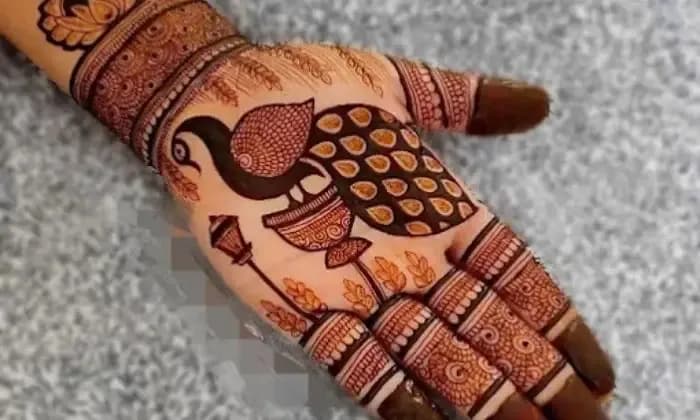 Pranzil  Mehndi  Artist