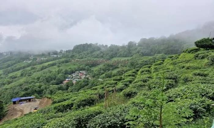 Devika Kelkar Travels