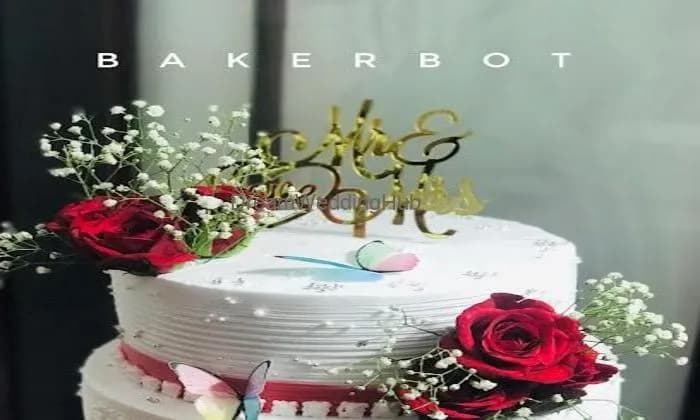 Baker Bot Home Made Cakes