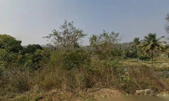 HEMAGIRI CHIKEN CENTER