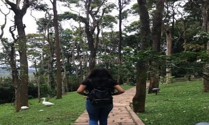 Shubham Tours and Travels