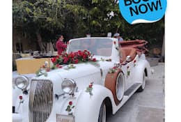 Classic Rovers Travel