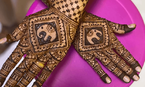 Ravina Nagaonkar Mehnadi