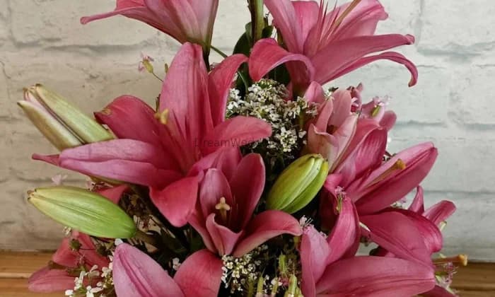 Mann Gift Gallery Mann Gift Gallery