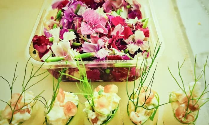 Jay Jogmaya Caterers