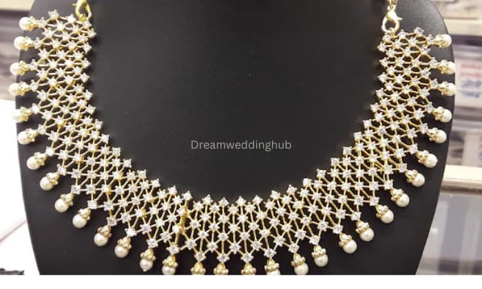 Hari Shankar Nagarkar