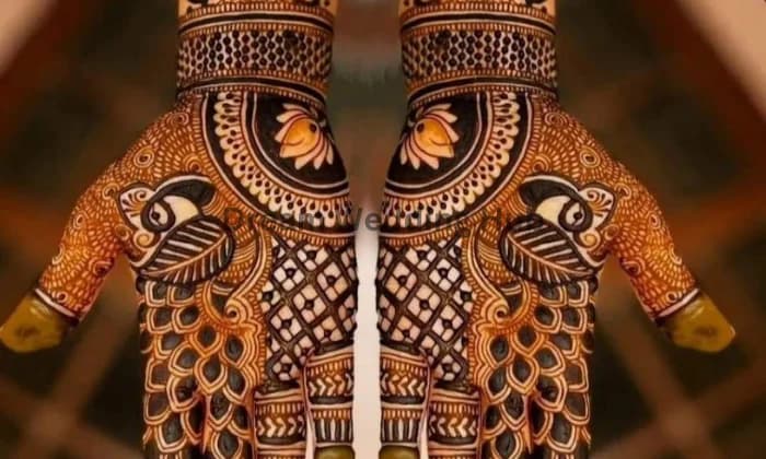 Pankaj Mehandi professional artist