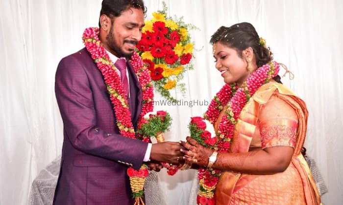 DOLPHIN STUDIO PUDUCHERRY