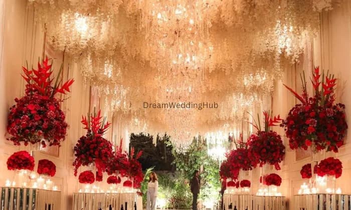 Cosmic Lights Entertainment Cosmic Lights Entertainment