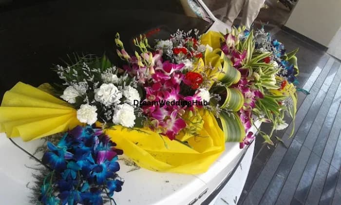 Archies Gallery  Satyam Collection 