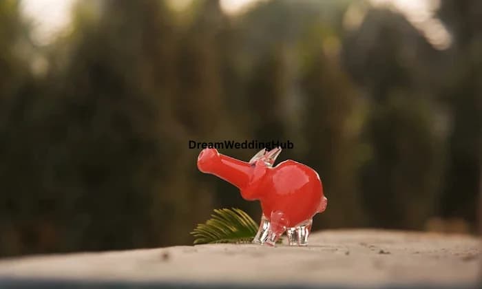 Product photographer