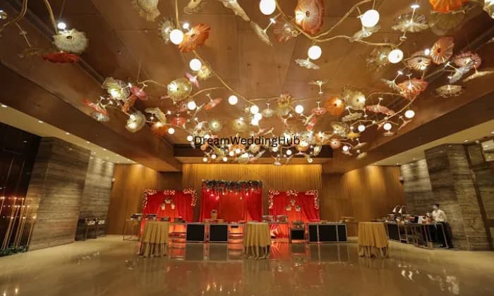 The Almond The Almond