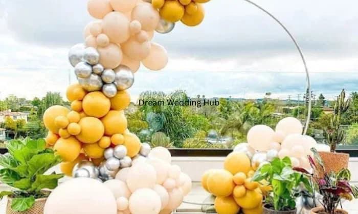 Sudha sound event company