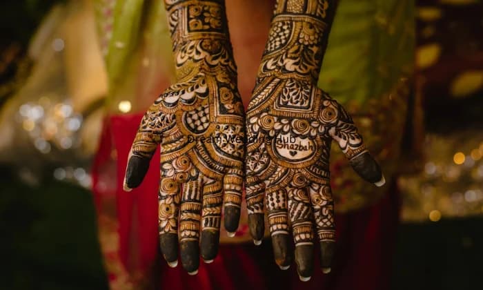 Rahul International Mehandi Artist New Delhi
