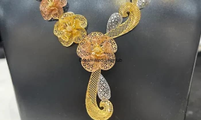 RADHESHYAM VINOD KUMAR JEWELLERS